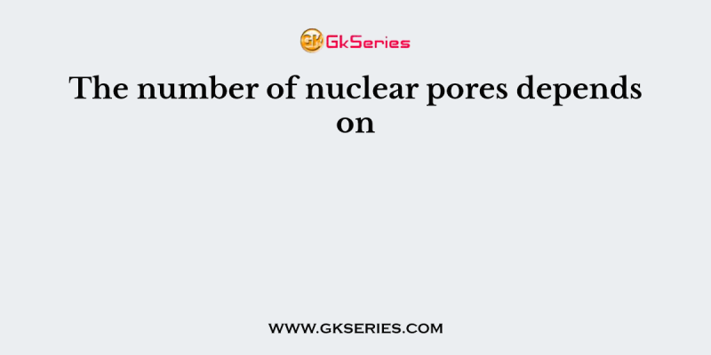 The number of nuclear pores depends on