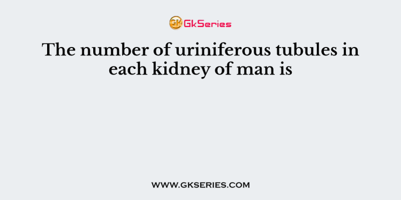 The number of uriniferous tubules in each kidney of man is