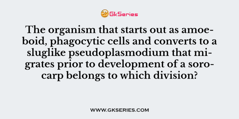 The organism that starts out as amoeboid, phagocytic cells and converts to a sluglike pseudoplasmodium that migrates prior to development of a sorocarp belongs to which division?