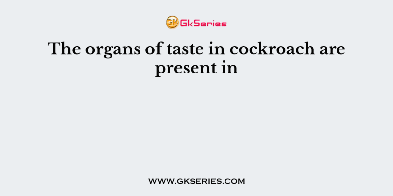 The organs of taste in cockroach are present in