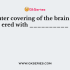 Fluid filled cavity in the brain is called as ___________
