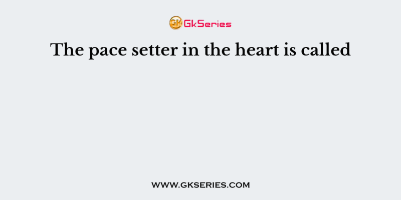 The pace setter in the heart is called