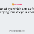 Which of the property of light we can relate with eye lens?