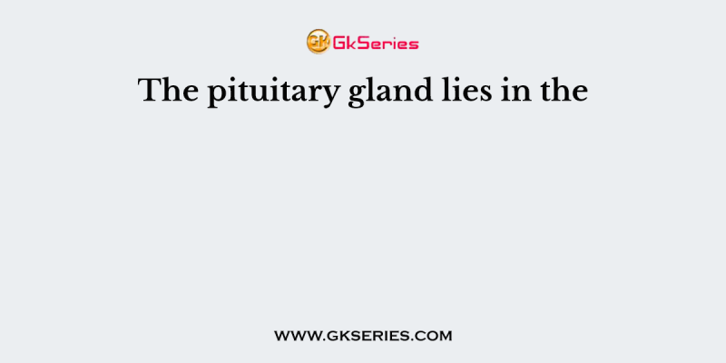 The pituitary gland lies in the