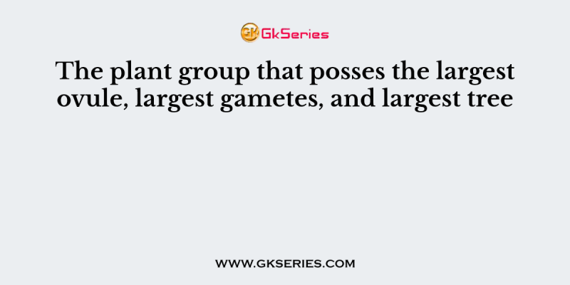 The plant group that posses the largest ovule, largest gametes, and largest tree