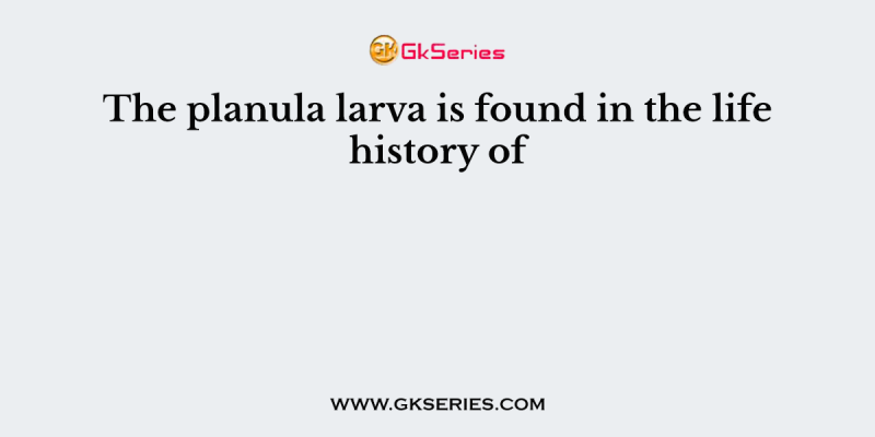 The planula larva is found in the life history of