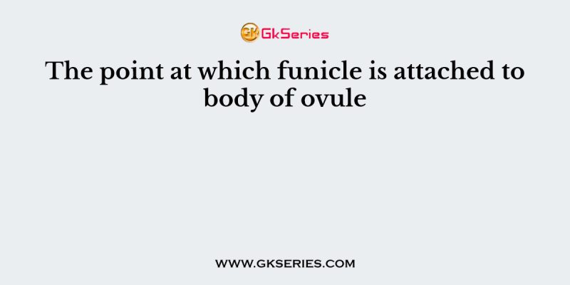The point at which funicle is attached to body of ovule