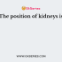 Kidneys are not the only organs of excretion, their work is supplemented by
