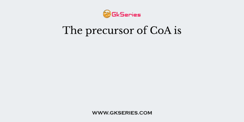 The precursor of CoA is