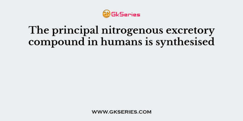 The principal nitrogenous excretory compound in humans is synthesised