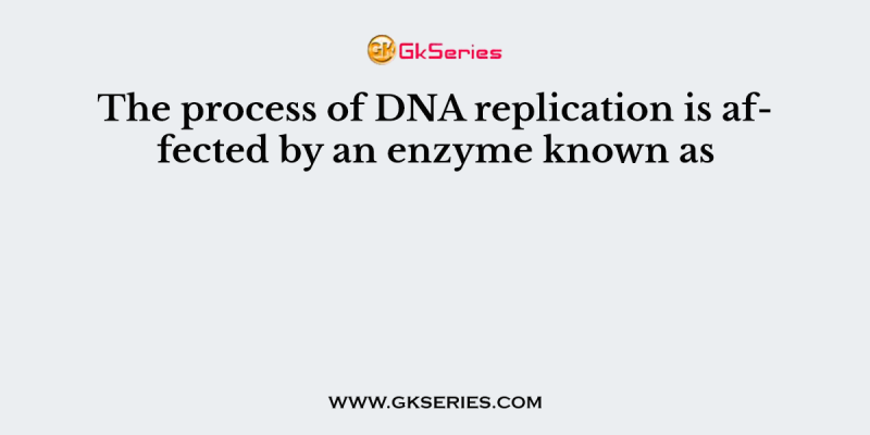 The process of DNA replication is affected by an enzyme known as