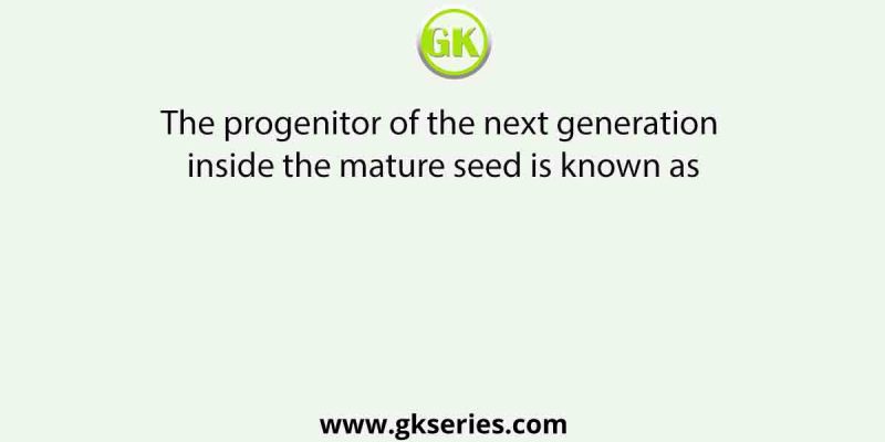 The progenitor of the next generation inside the mature seed is known as