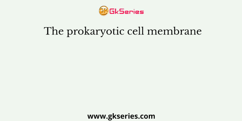 The prokaryotic cell membrane