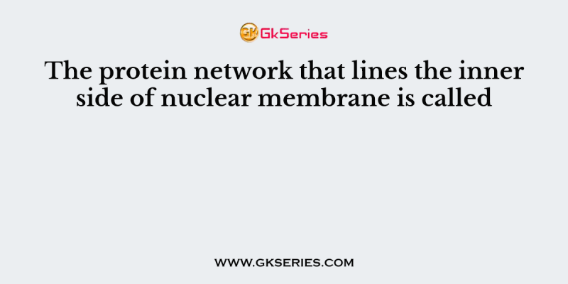 The protein network that lines the inner side of nuclear membrane is called