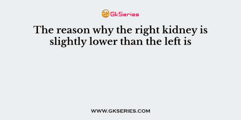 The reason why the right kidney is slightly lower than the left is