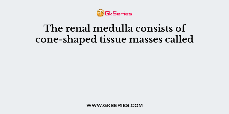 The renal medulla consists of cone-shaped tissue masses called