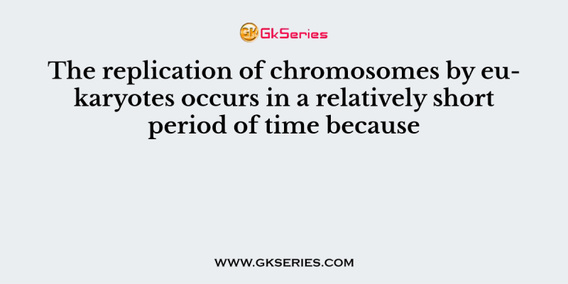 The replication of chromosomes by eukaryotes occurs in a relatively short period of time because