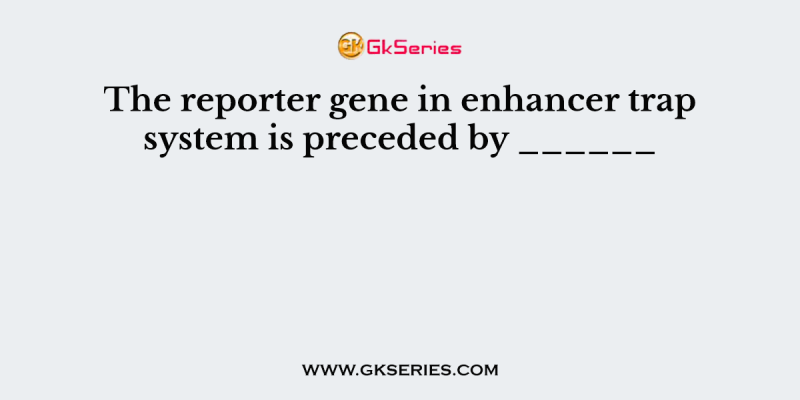 The reporter gene in enhancer trap system is preceded by ______