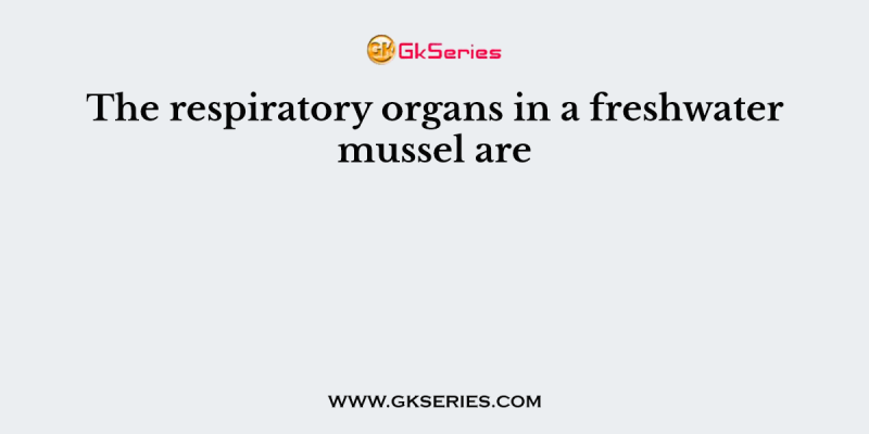 The respiratory organs in a freshwater mussel are