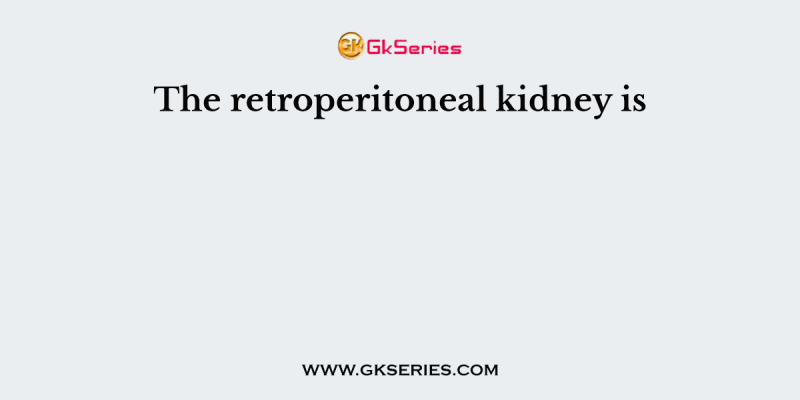 The retroperitoneal kidney is