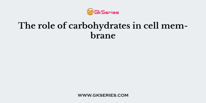 The role of carbohydrates in cell membrane