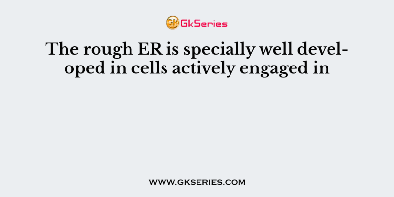 The rough ER is specially well developed in cells actively engaged in