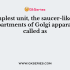 The region around Golgi apparatus where other organelles are absent is called as the