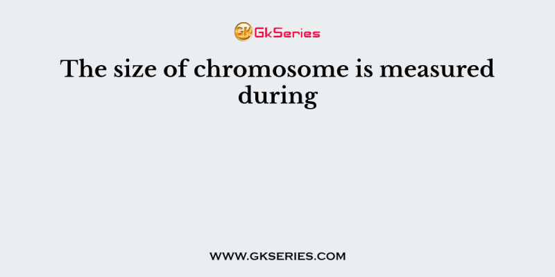 The size of chromosome is measured during