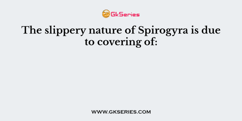 The slippery nature of Spirogyra is due to covering of: