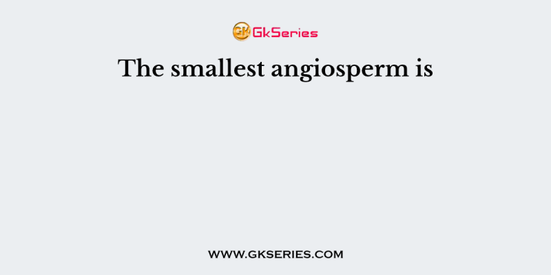 The smallest angiosperm is