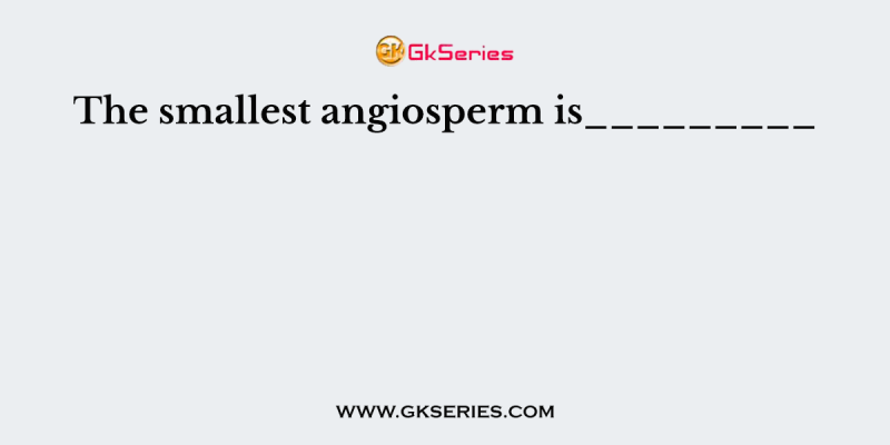 The smallest angiosperm is_________