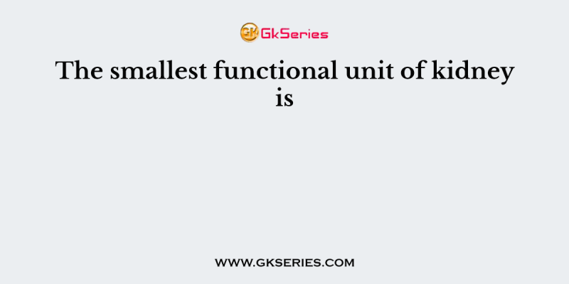 The smallest functional unit of kidney is