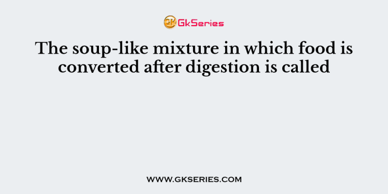 The soup-like mixture in which food is converted after digestion is called