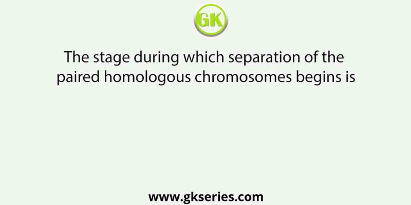 The stage during which separation of the paired homologous chromosomes begins is