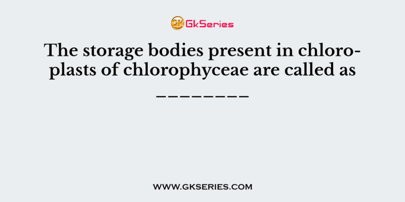 The storage bodies present in chloroplasts of chlorophyceae are called as ________
