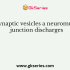 ______________ is the ability of neurons to initiate nerve impulses