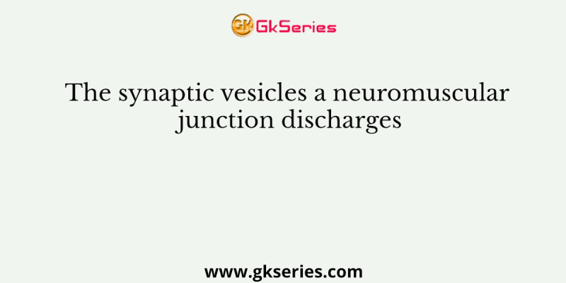 The synaptic vesicles a neuromuscular junction discharges