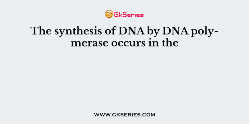 The synthesis of DNA by DNA polymerase occurs in the