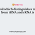 The enzyme used in formation of cDNA from mRNA is