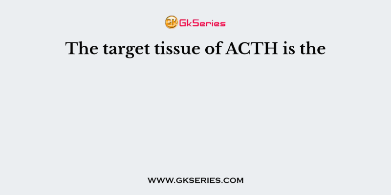 The target tissue of ACTH is the