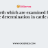 Which of the following is not a stringent measure to ensure proper yield in a dairy farm?