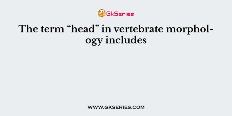 The term “head” in vertebrate morphology includes