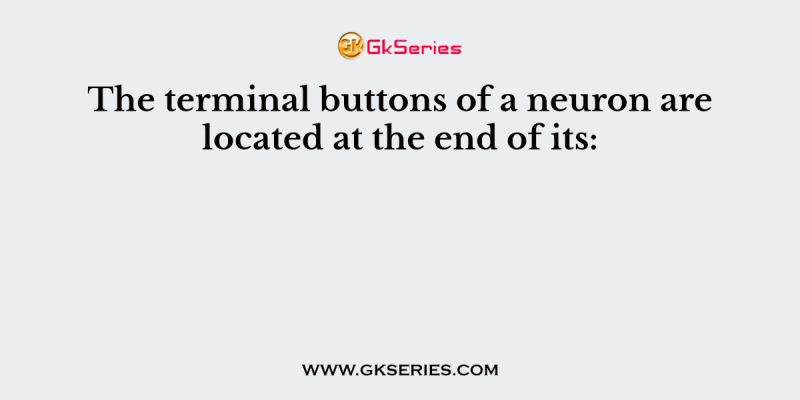 The terminal buttons of a neuron are located at the end of its: