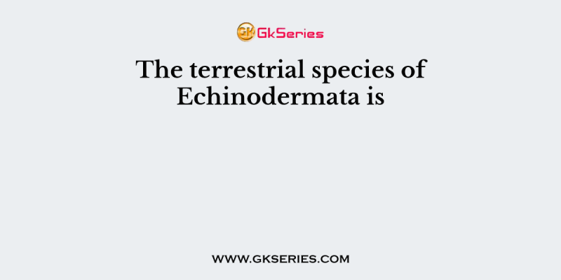 The terrestrial species of Echinodermata is
