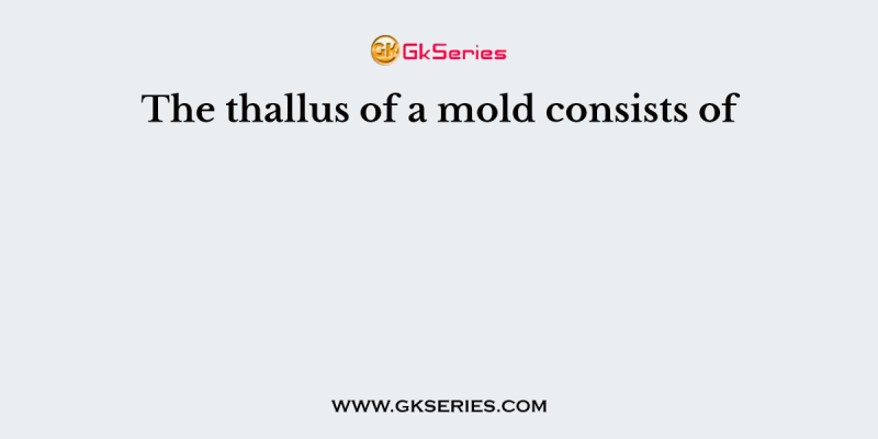 The thallus of a mold consists of
