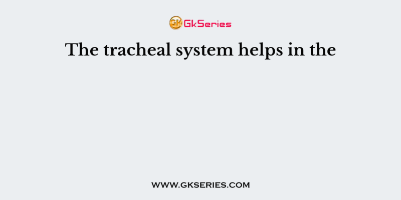 The tracheal system helps in the