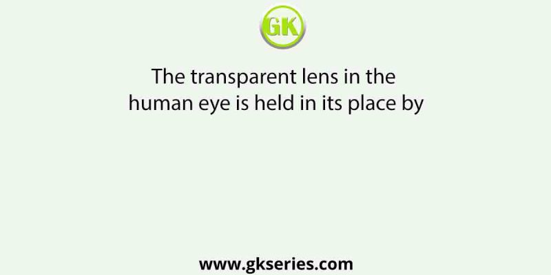 The transparent lens in the human eye is held in its place by