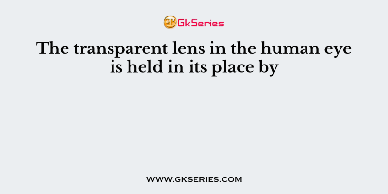 The transparent lens in the human eye is held in its place by