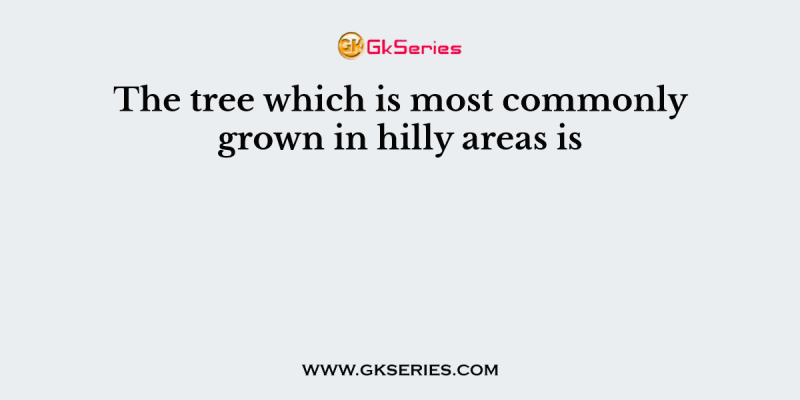 The tree which is most commonly grown in hilly areas is
