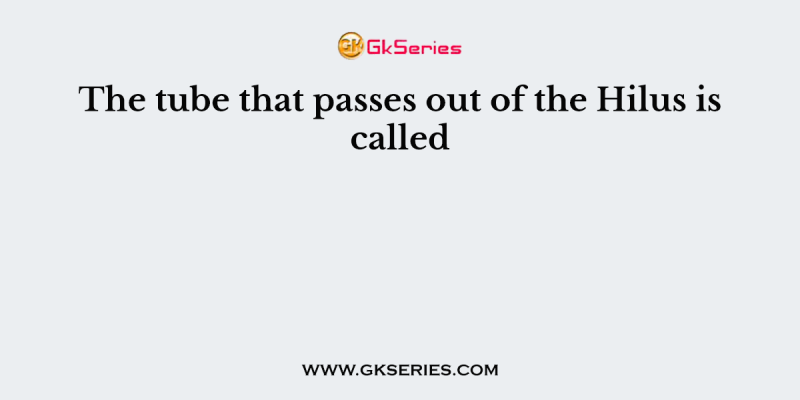 The tube that passes out of the Hilus is called